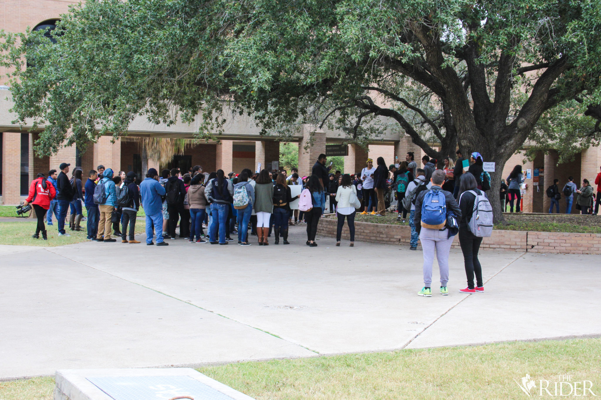 Campus community members gather under the Quad’s “Tree of Solidarity” on the Edinburg campus before marching toward the Student Services Building.