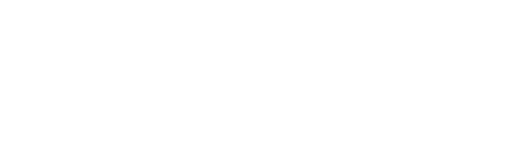 The Rider Newspaper