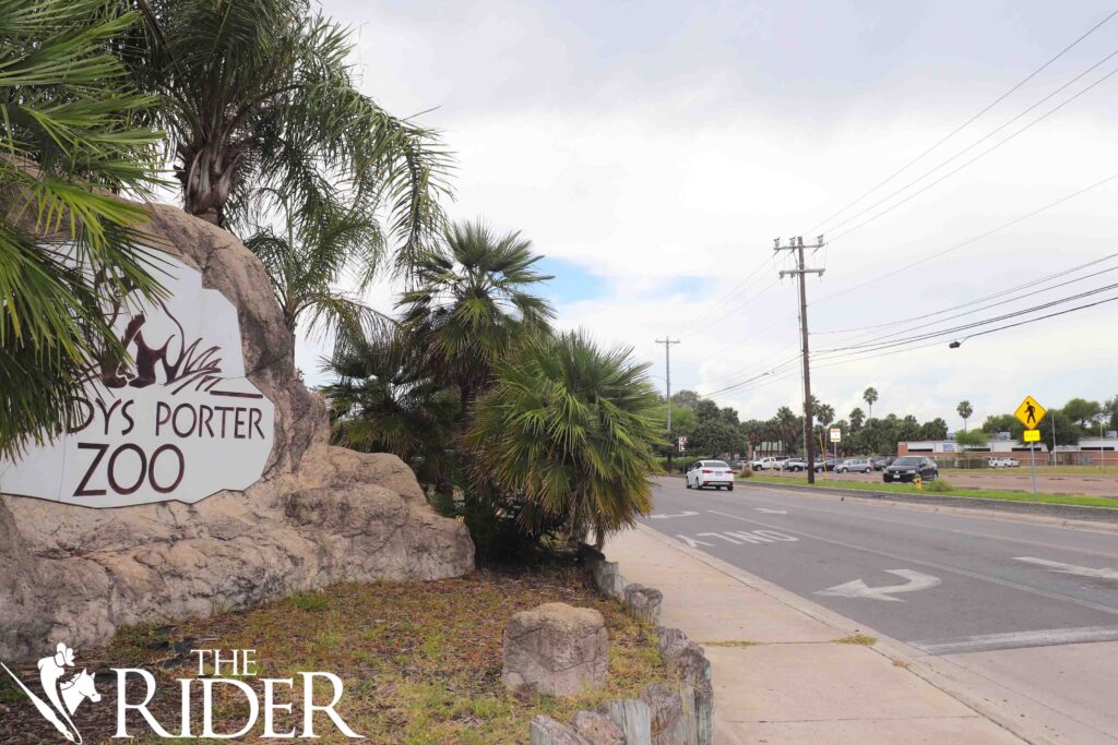 The Cummings Middle School property is located across the street from Gladys Porter Zoo. Andres Estrada/THE RIDER